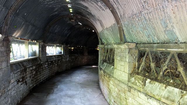 the_worm-_great_malvern_station_geograph_4067365